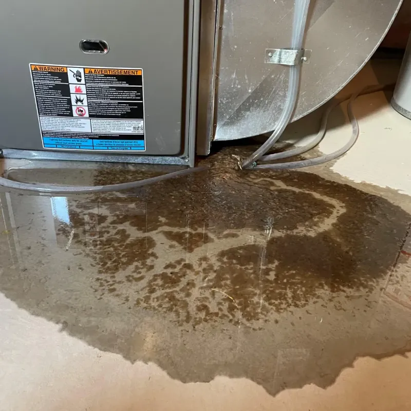 Appliance Leak Cleanup in Midland, NC